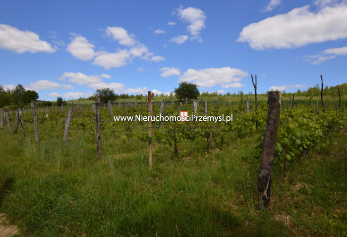 Działka na sprzedaż o pow. 11700 m2