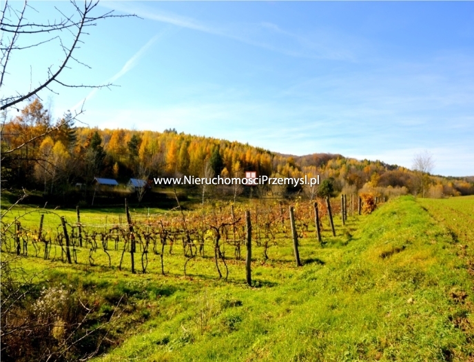 Działka na sprzedaż o pow. 11700 m2
