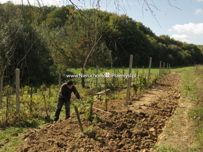 Działka na sprzedaż o pow. 11700 m2