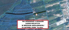 Działka na sprzedaż o pow. 9755 m2