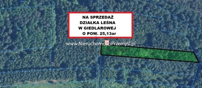 Działka na sprzedaż o pow. 9755 m2